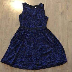 Blue & Black Dress